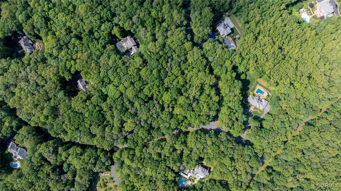 Aerial view of homes surrounded by dense green trees, with a pool beside one house.