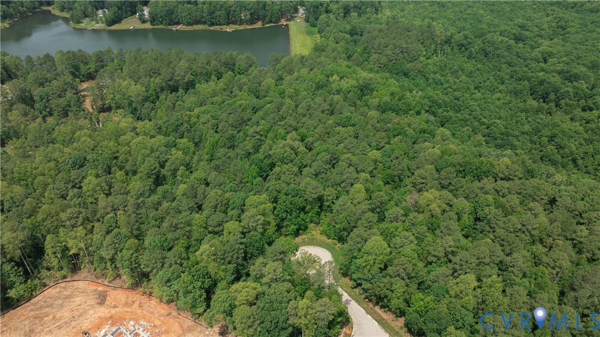 Wooded property with a pond, curved access road, and cleared construction area.