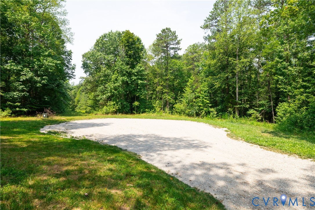 Gravel driveway curving through a grassy clearing surrounded by dense trees.