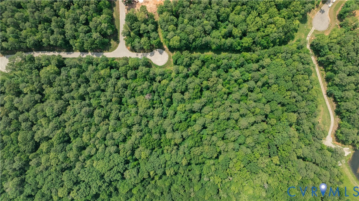 Aerial view of a densely wooded property bordered by a road and a dirt access track.