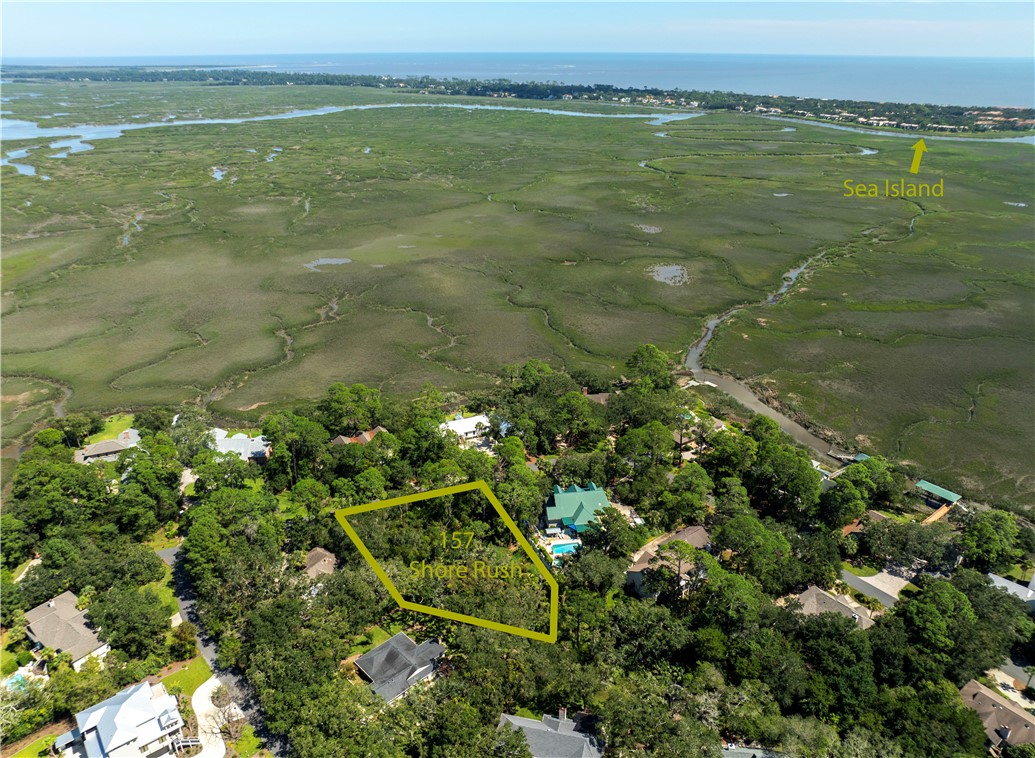 157 Shore Rush Drive