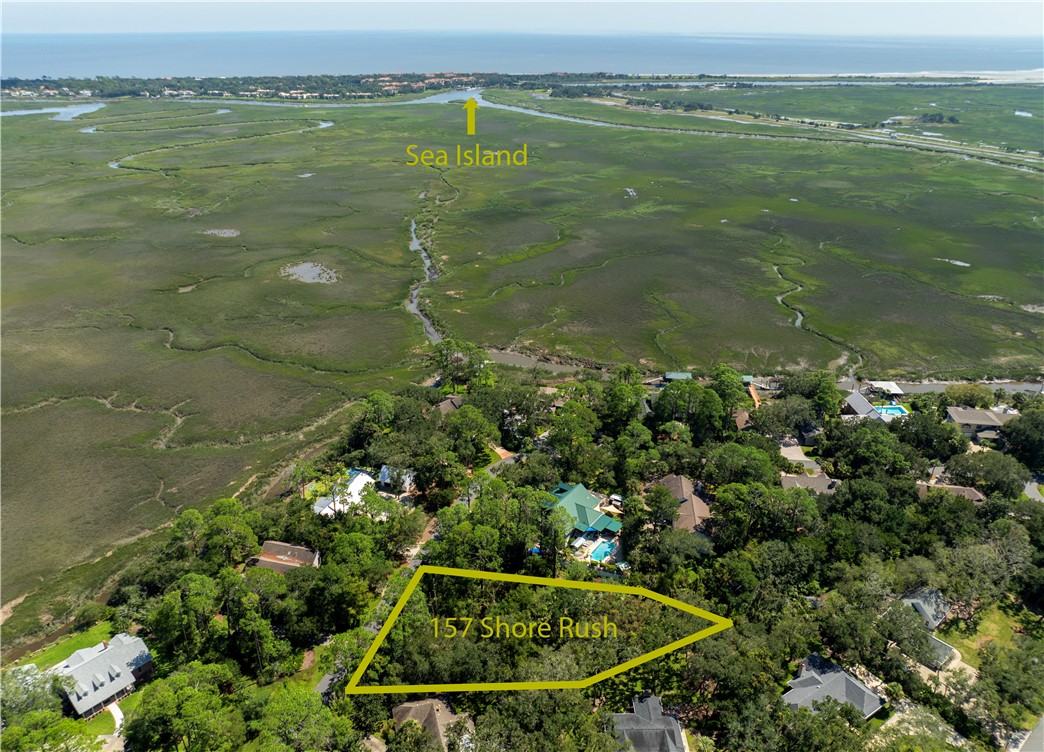 157 Shore Rush Drive