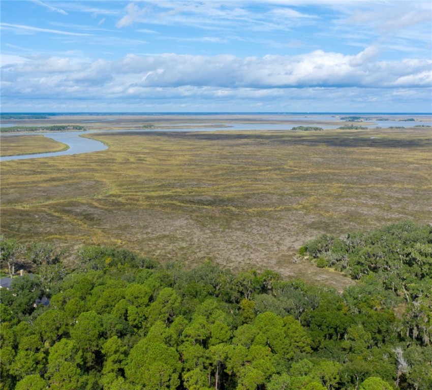 316 Pikes Bluff Drive