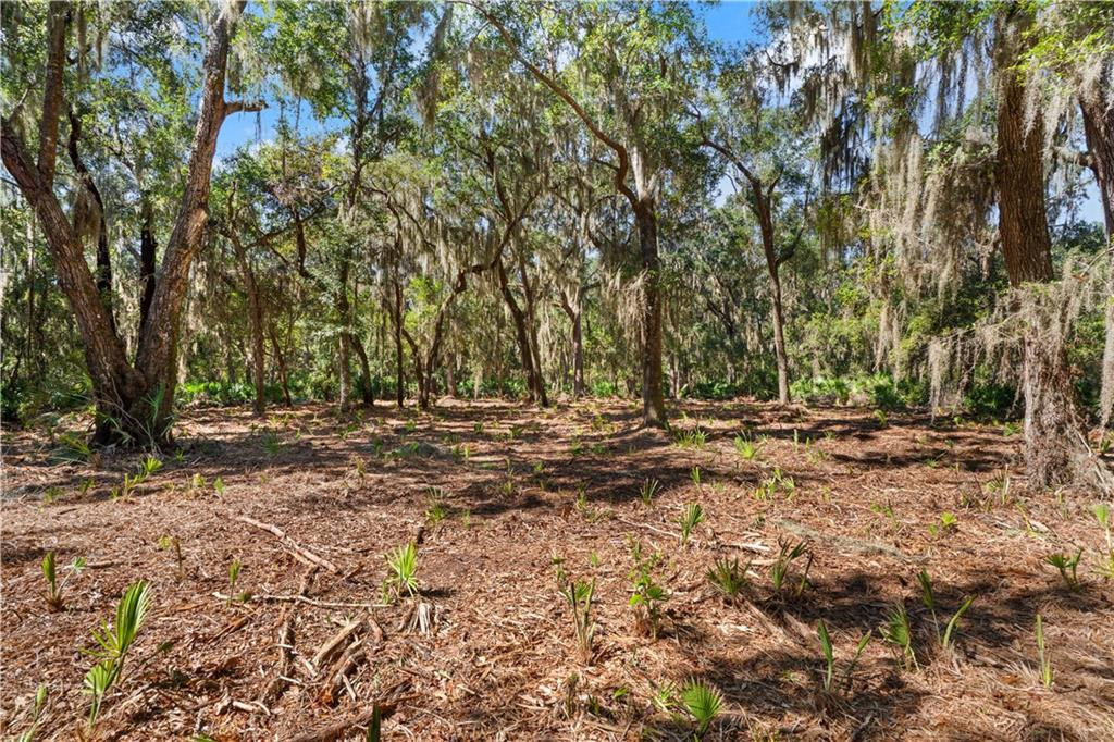 24 Hinchinbrooke Circle, 67, St. Simons Island