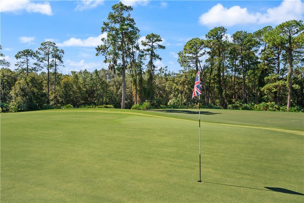 24 Hinchinbrooke Circle, 67, St. Simons Island