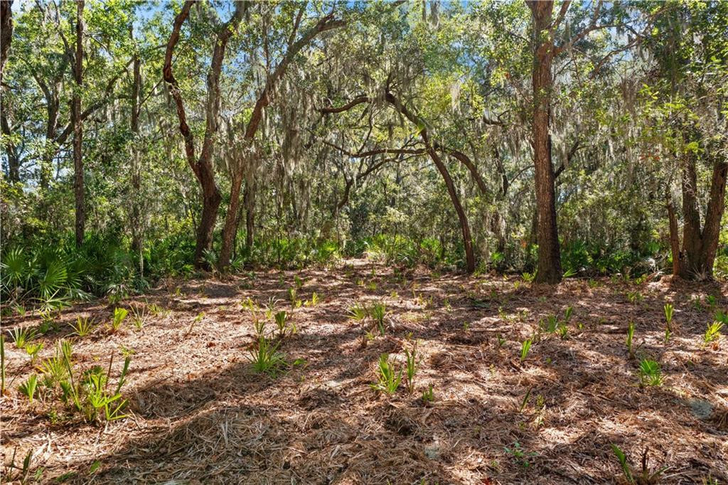 24 Hinchinbrooke Circle, 67, St. Simons Island