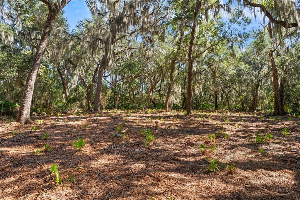 24 Hinchinbrooke Circle, 67, St. Simons Island