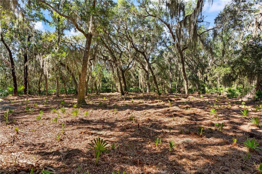 24 Hinchinbrooke Circle, 67, St. Simons Island