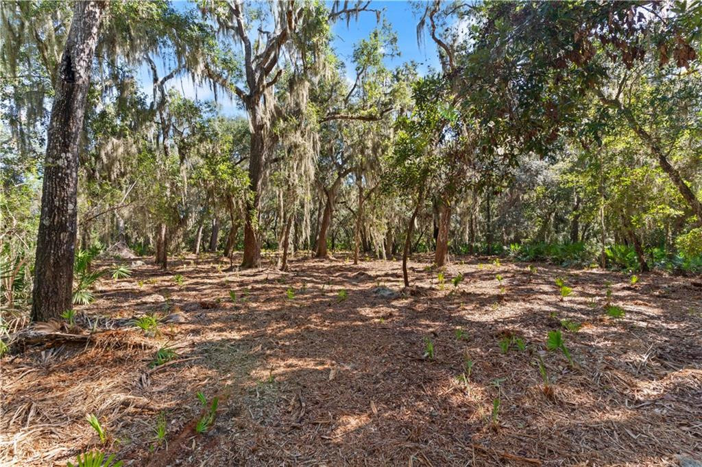 24 Hinchinbrooke Circle, 67, St. Simons Island