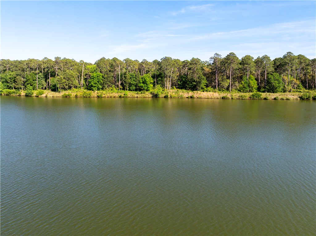 1317 Pikes Bluff Road