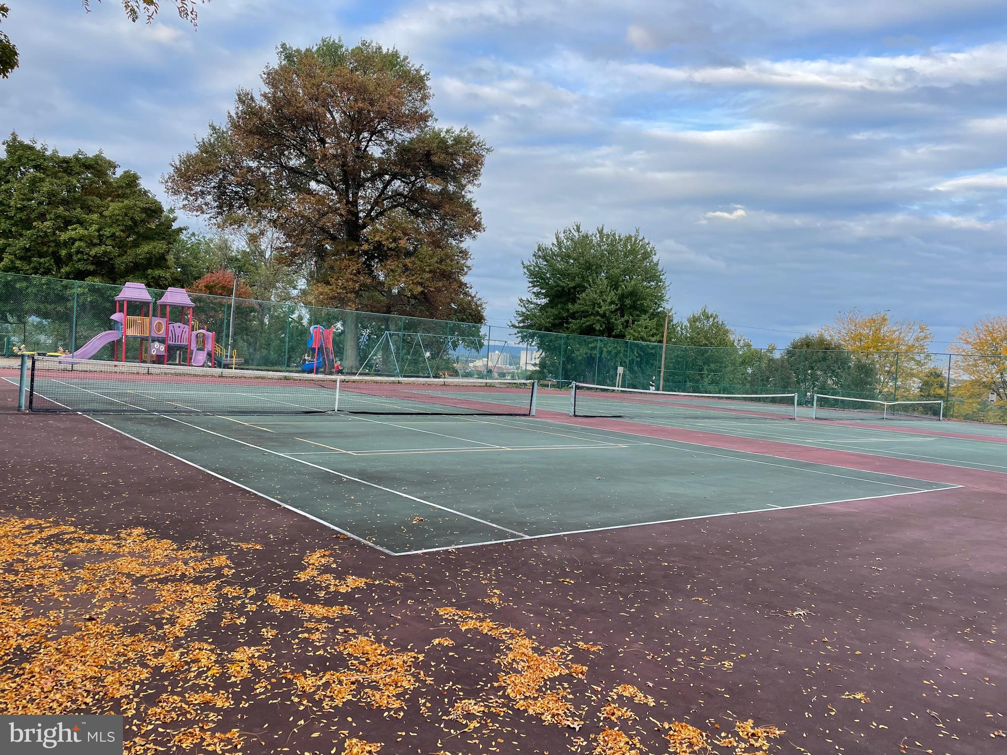 541 BRIDGEVIEW DRIVE