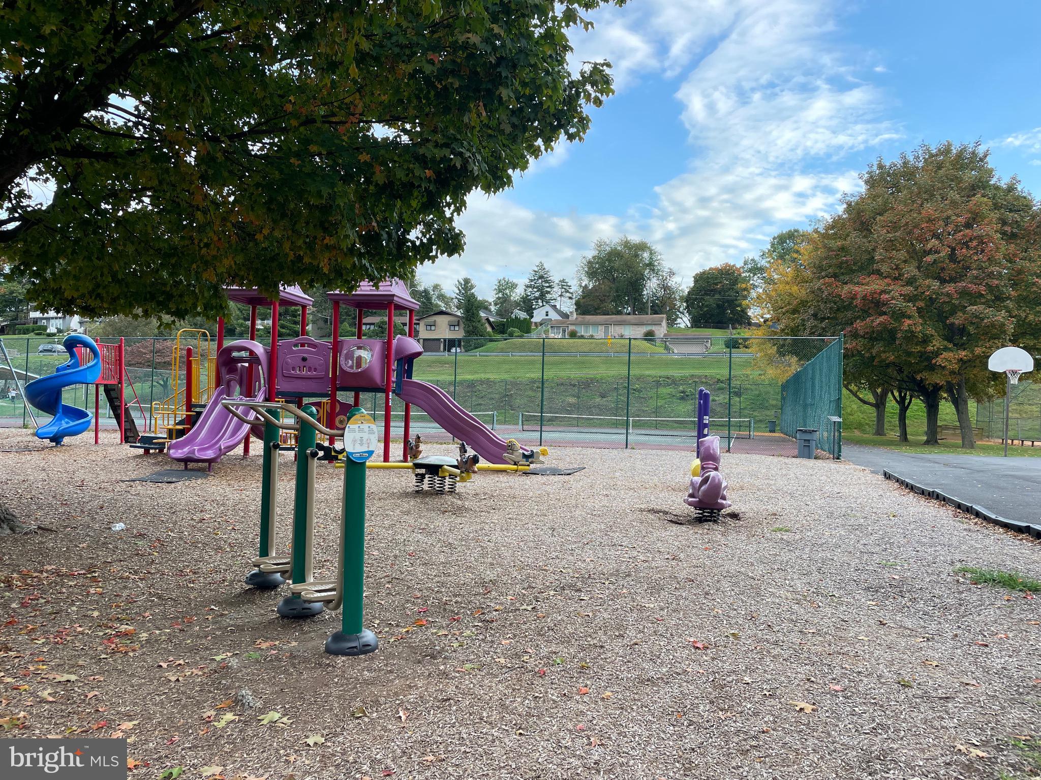 541 BRIDGEVIEW DRIVE