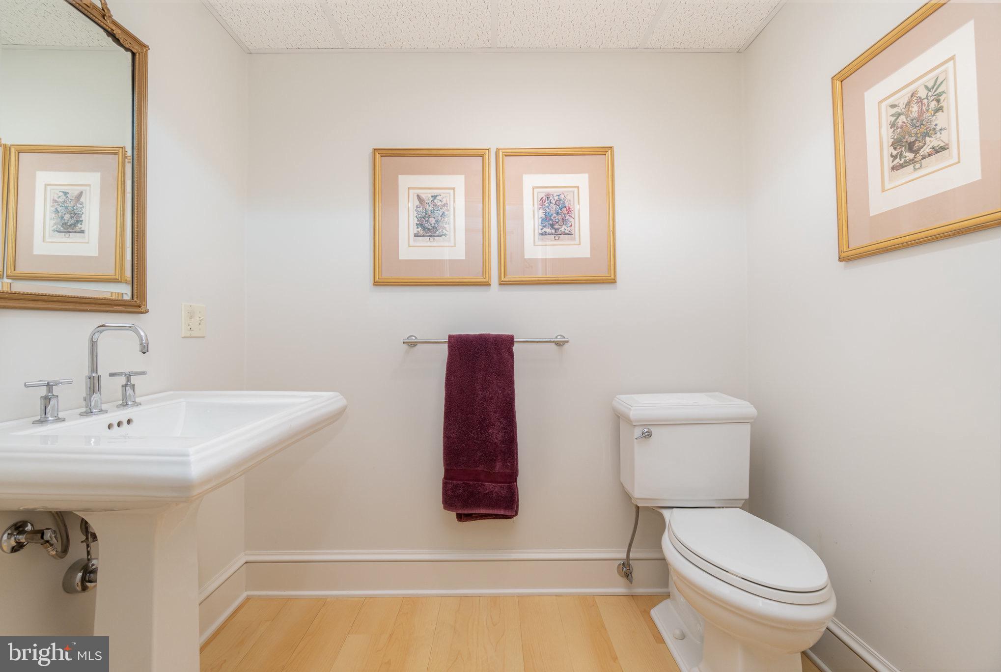 541 BRIDGEVIEW DRIVE