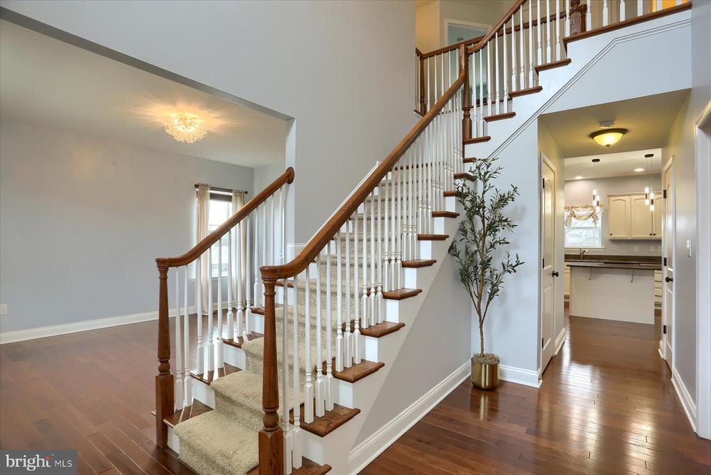 41 BALFOUR DRIVE