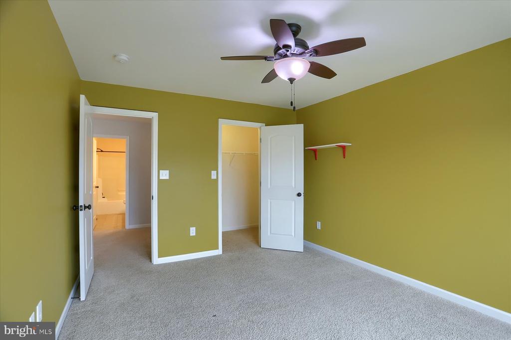 41 BALFOUR DRIVE