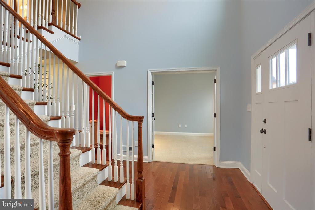 41 BALFOUR DRIVE