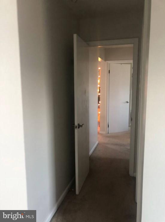 2142 MARKET STREET 203 A