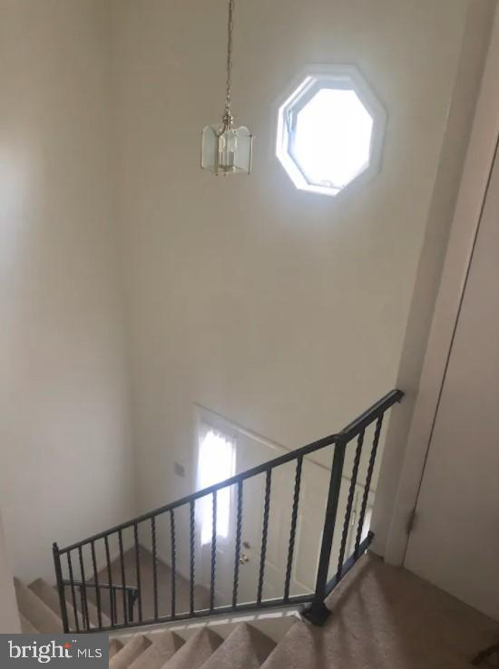 2142 MARKET STREET 203 A