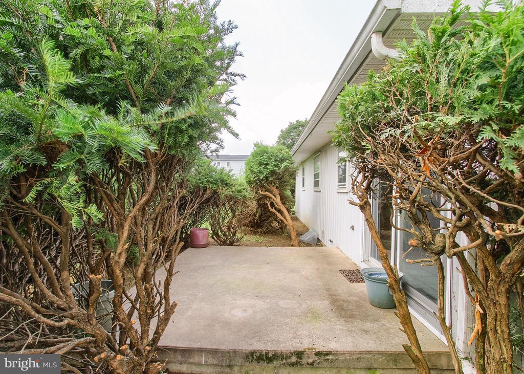 4 HEMLOCK DRIVE
