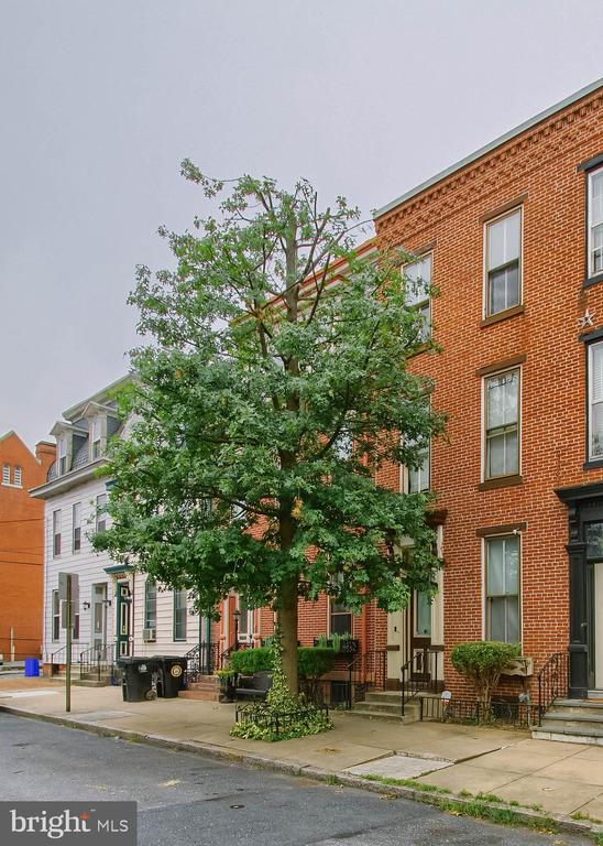 1207 GREEN STREET