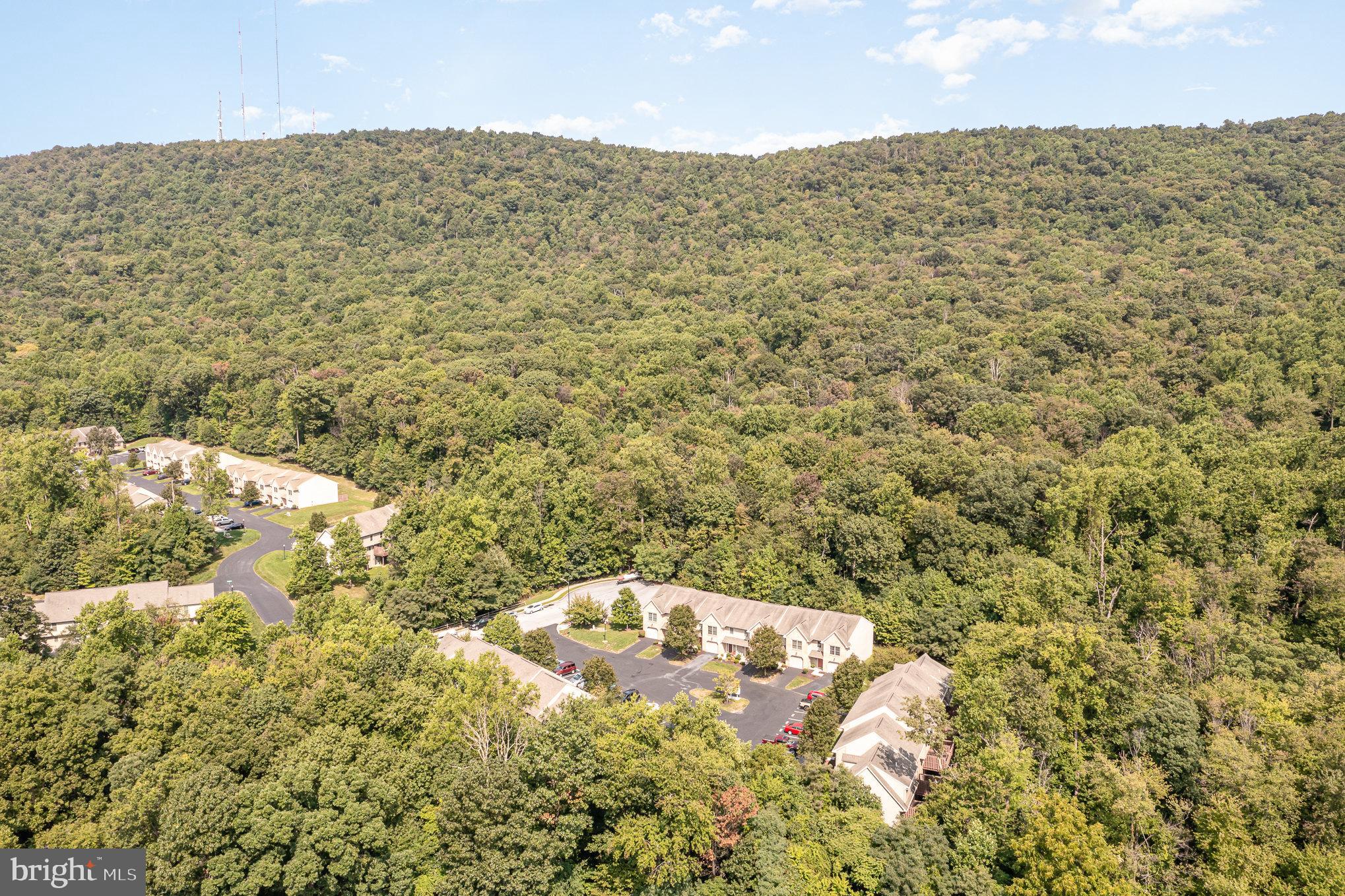 524 WOODTHRUSH COURT