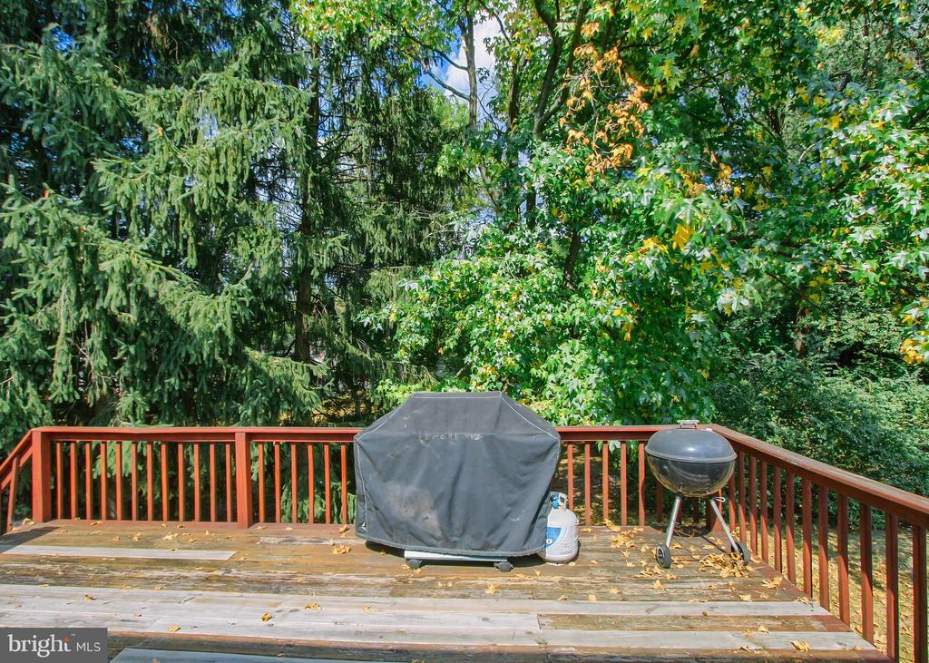 4806 WOODWARD DRIVE
