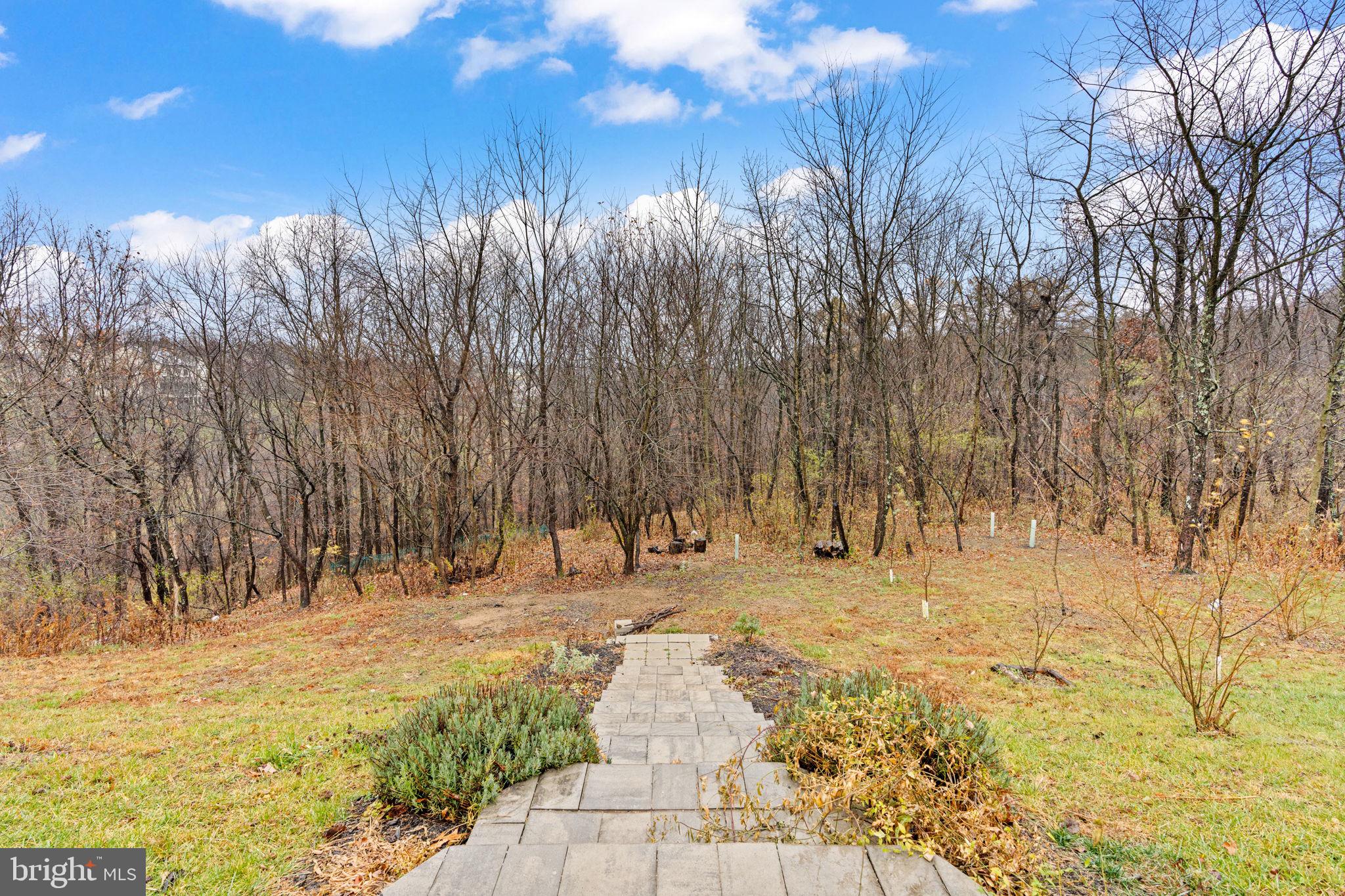 7020 BEECH TREE DRIVE