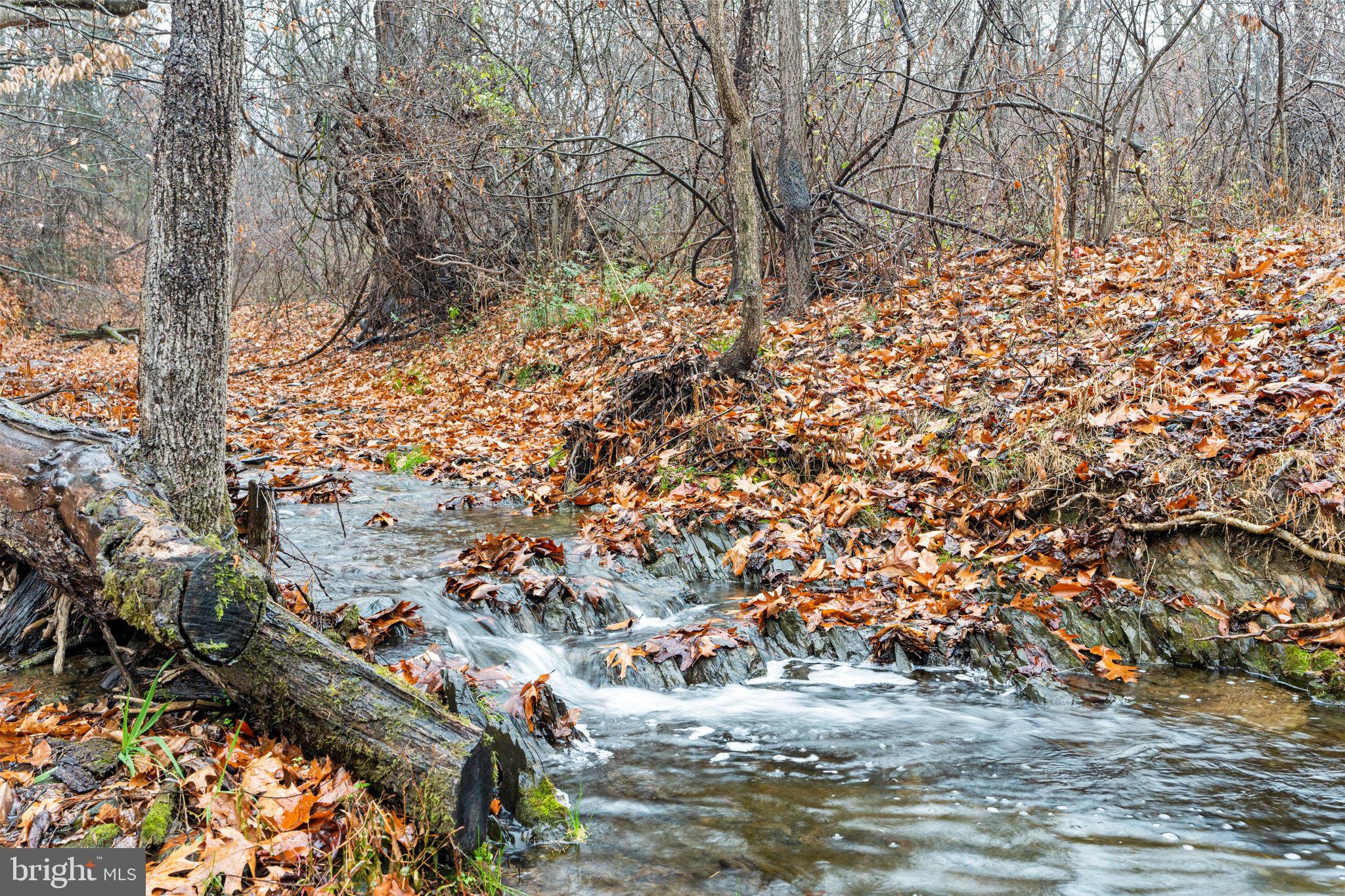 7020 BEECH TREE DRIVE