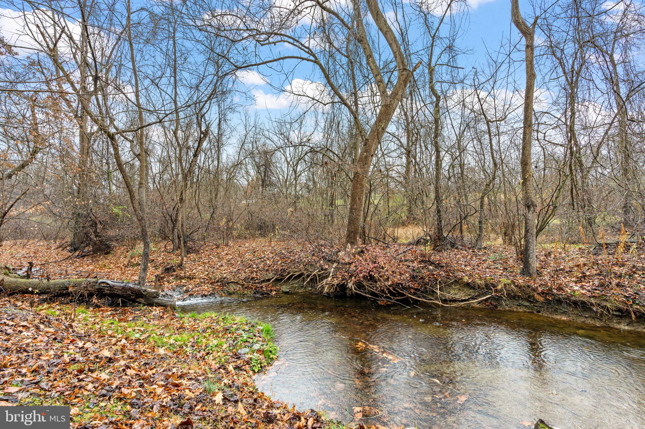 7020 BEECH TREE DRIVE