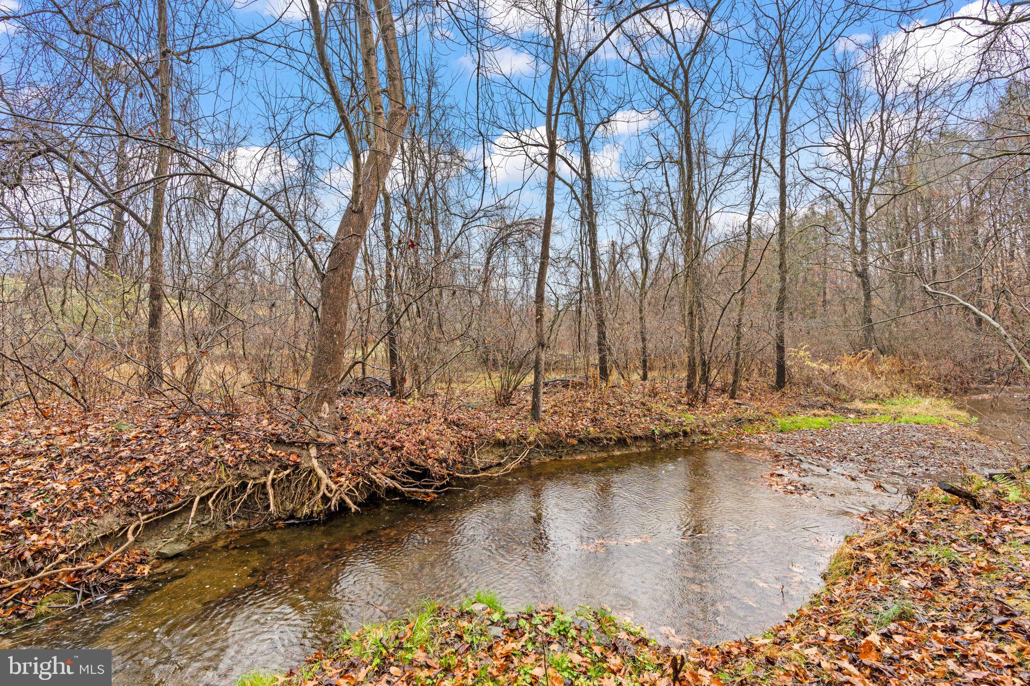 7020 BEECH TREE DRIVE