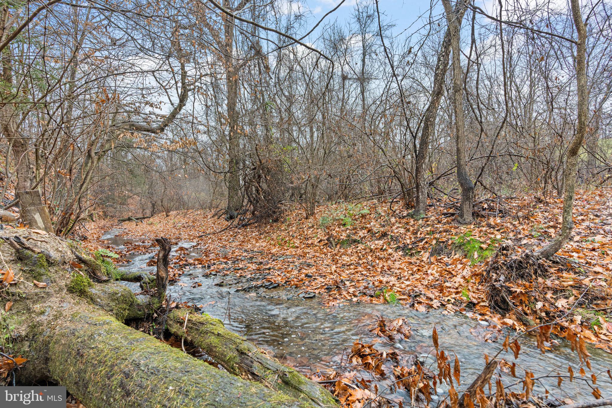 7020 BEECH TREE DRIVE