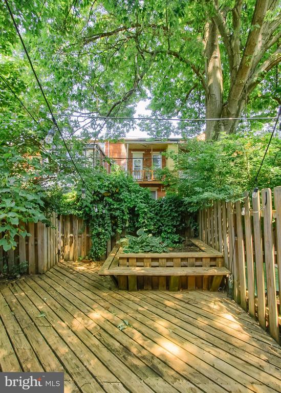 1709 PENN STREET