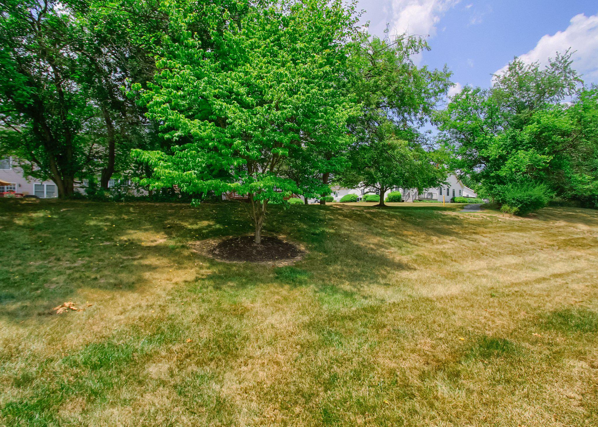 428 NORTHSTAR DRIVE