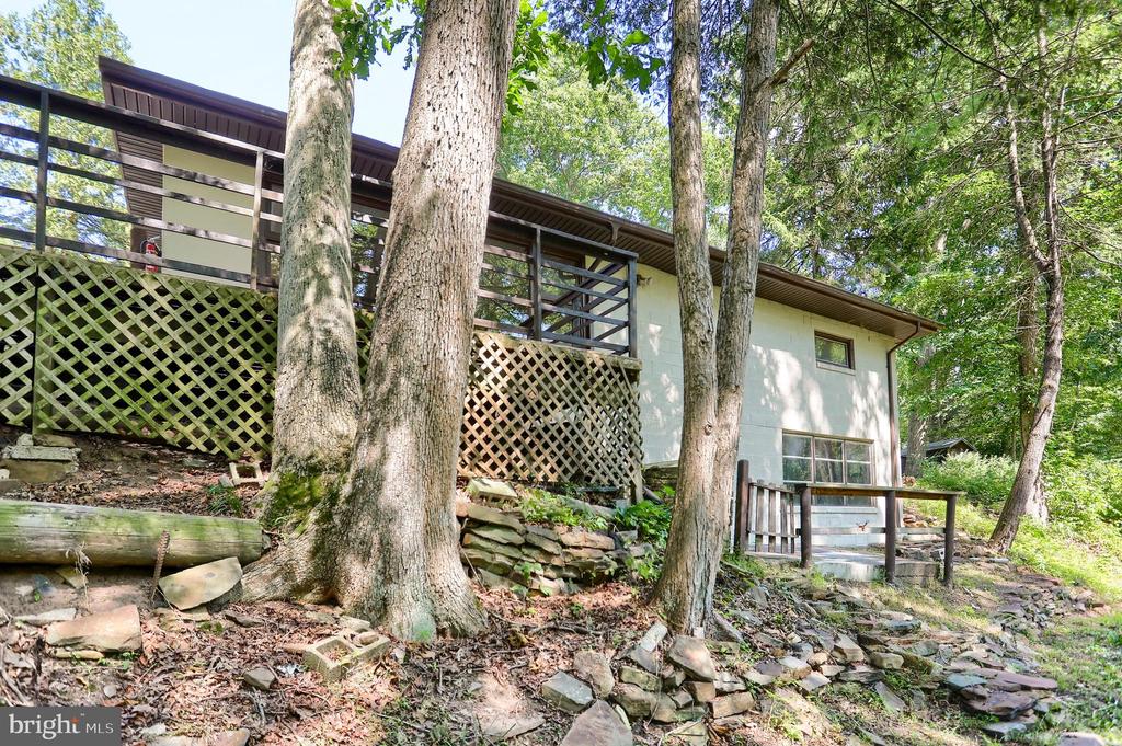 411 SPEECE LANE