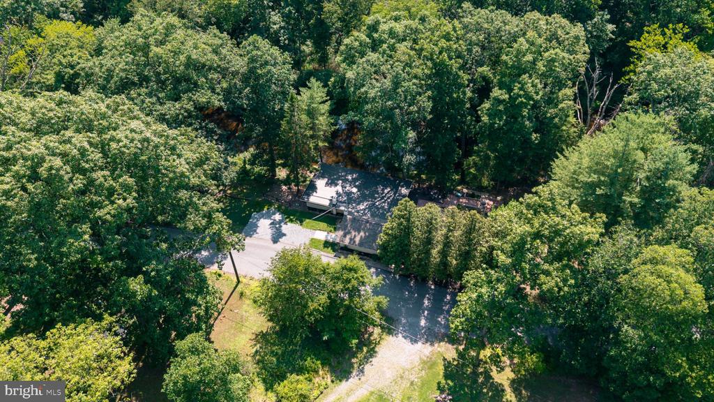 411 SPEECE LANE
