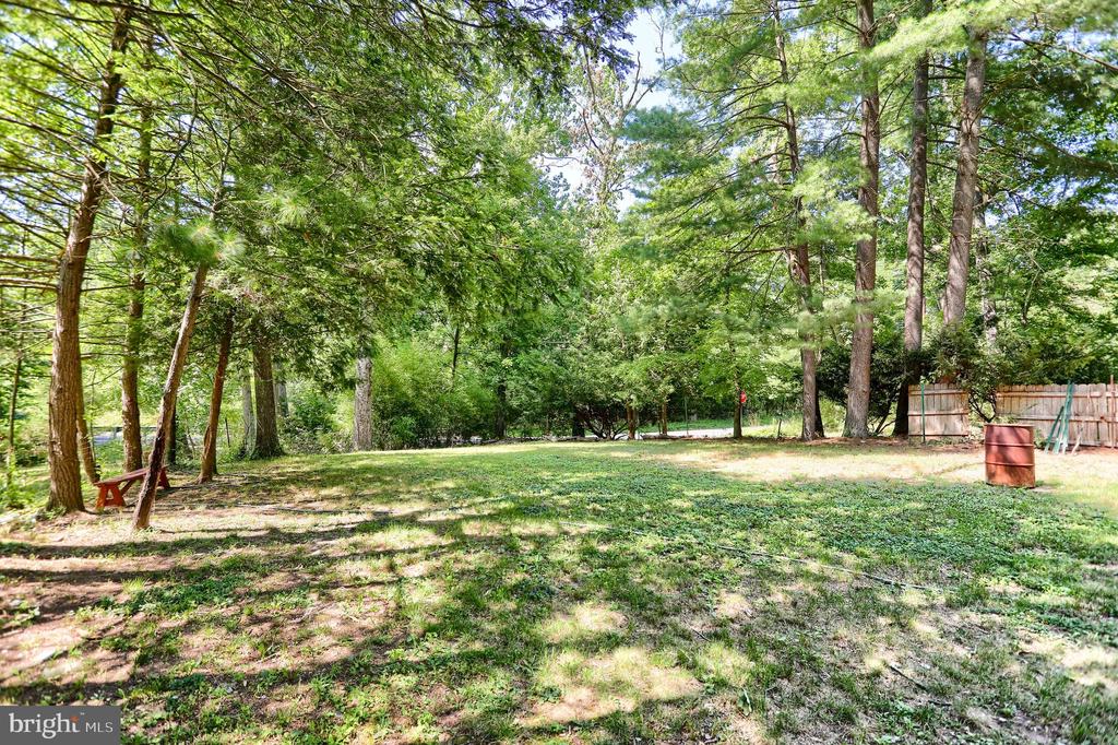 411 SPEECE LANE