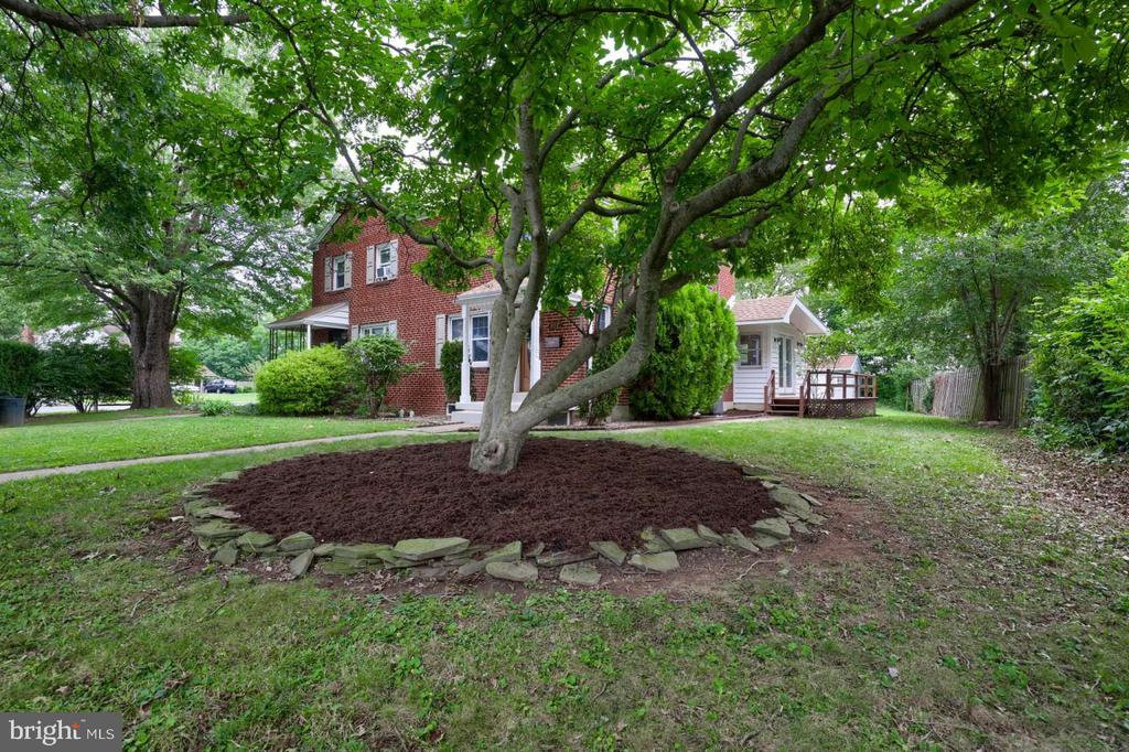 317 ELM COURT