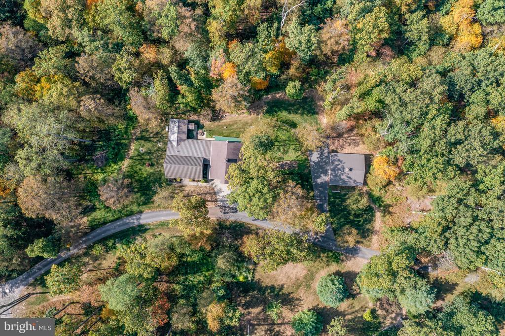 36 SASSAFRAS LANE