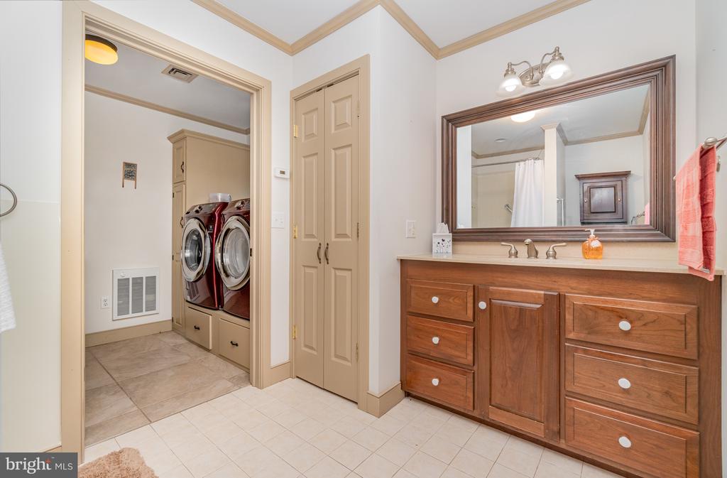 36 SASSAFRAS LANE