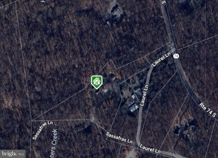 36 SASSAFRAS LANE