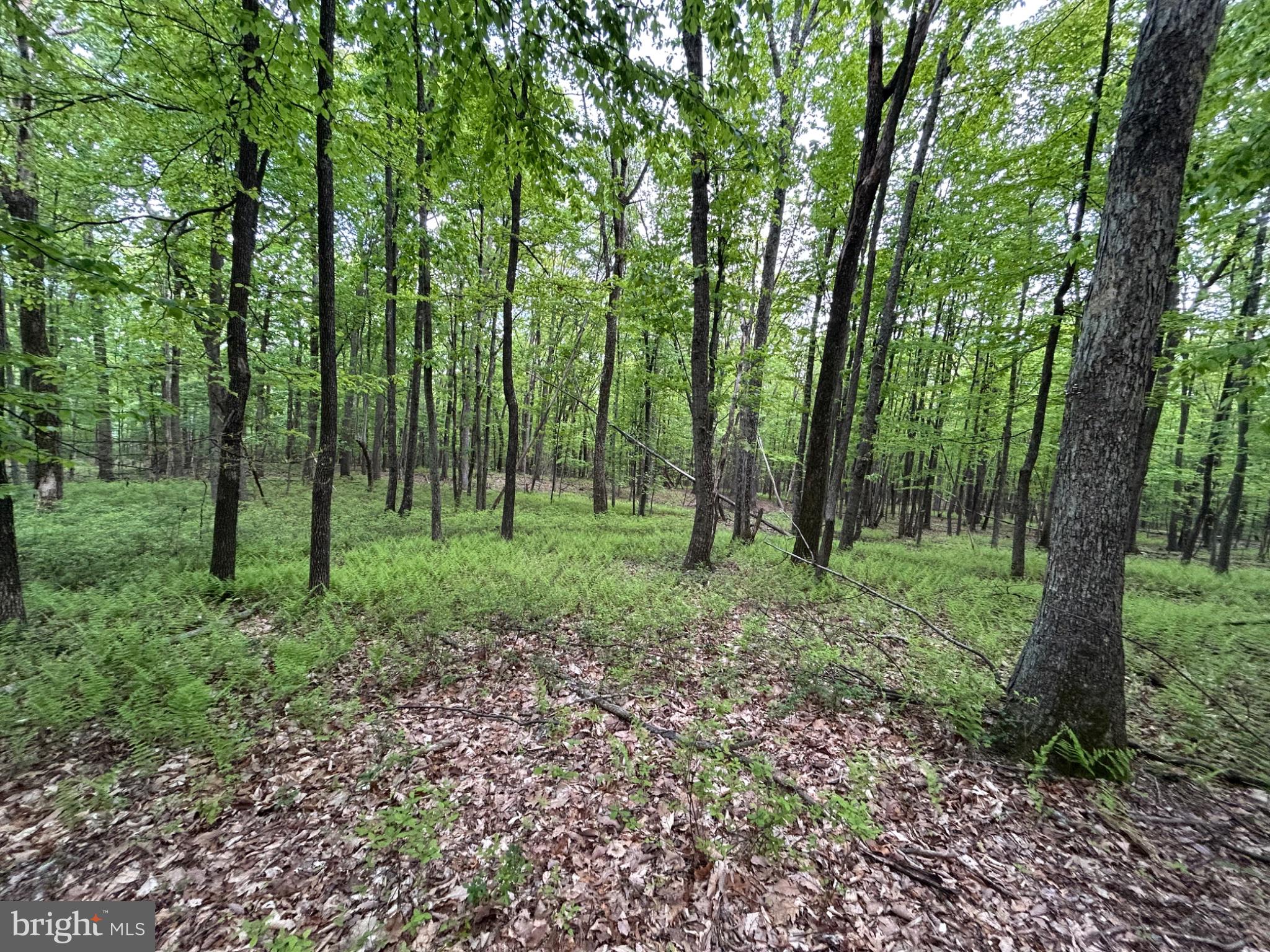 0 GROUSE TRL TRAIL