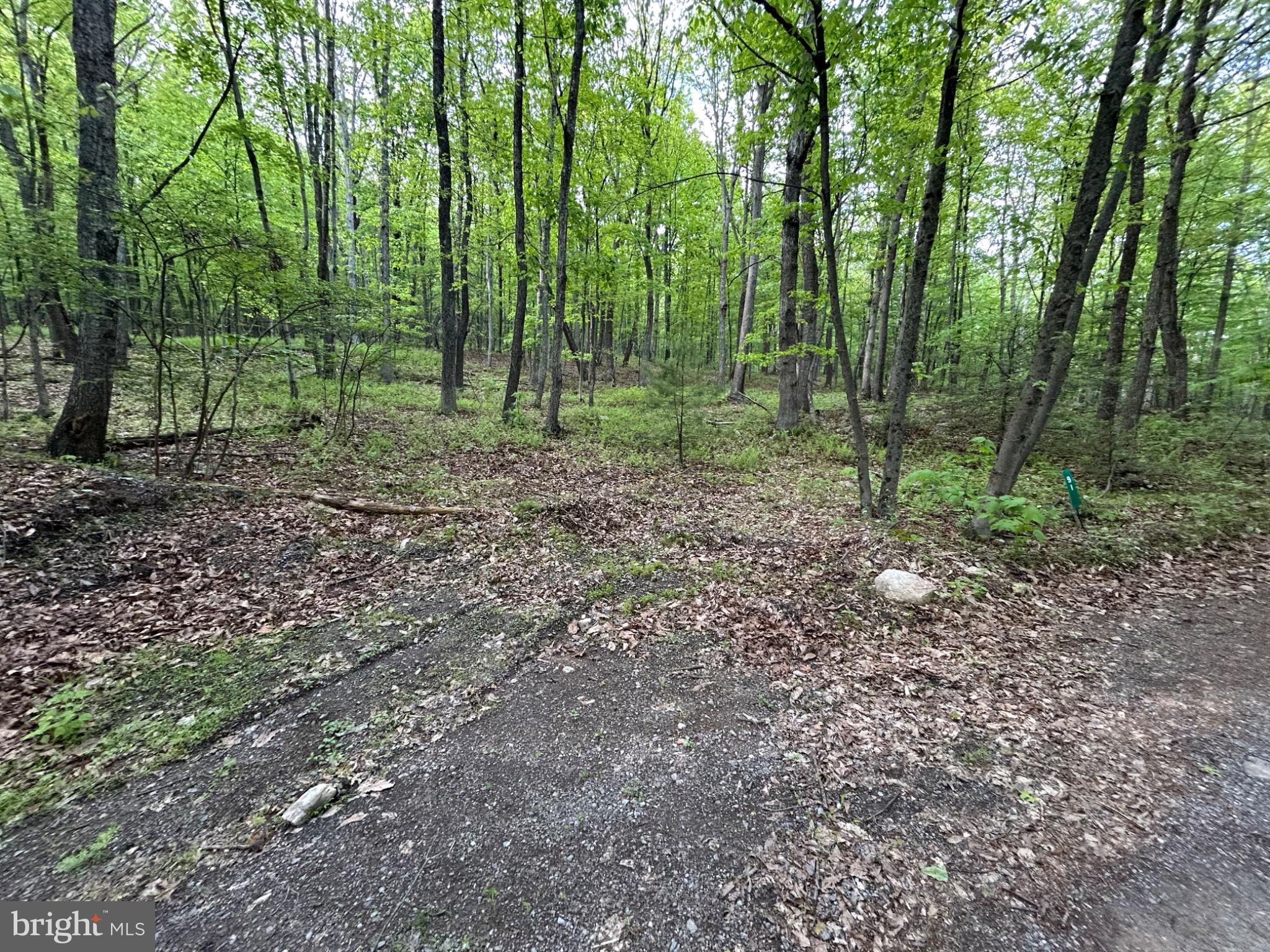 0 GROUSE TRL TRAIL
