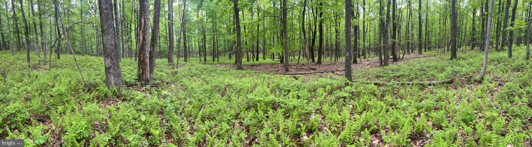 0 GROUSE TRL TRAIL