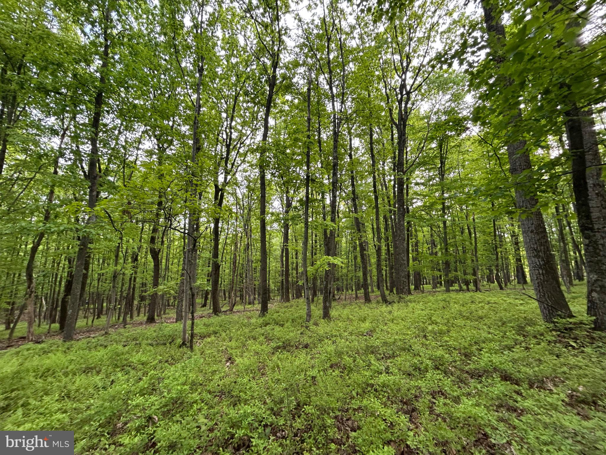 0 GROUSE TRL TRAIL
