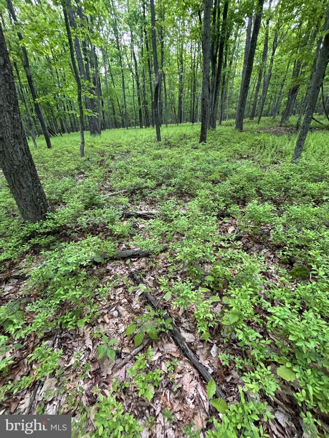 0 GROUSE TRL TRAIL