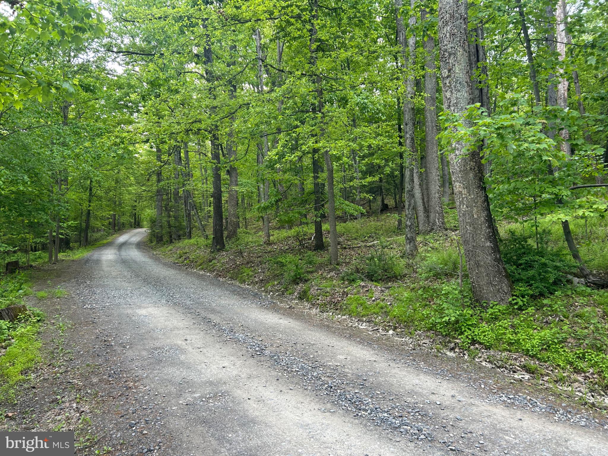 0 GROUSE TRL TRAIL