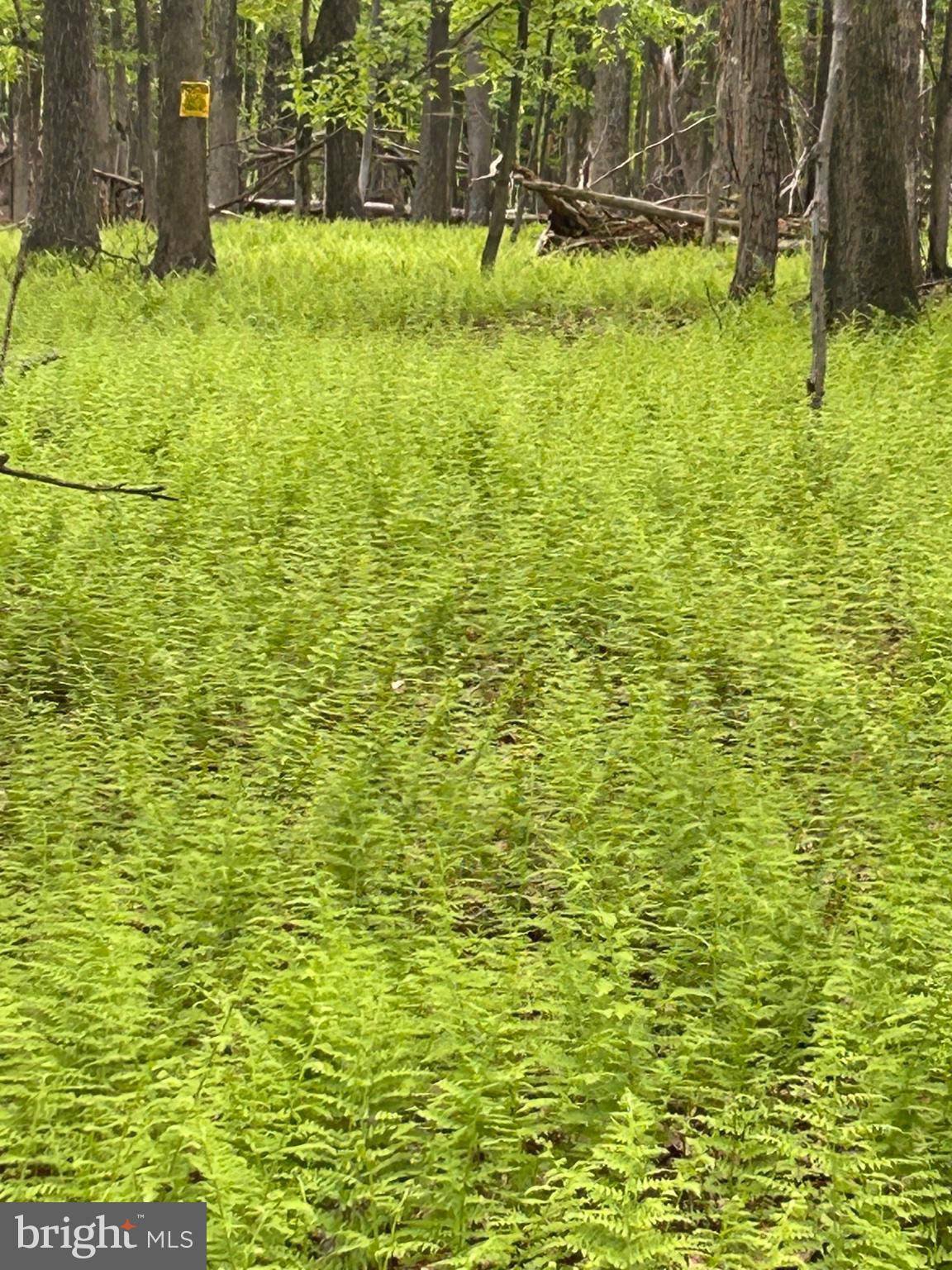 0 GROUSE TRL TRAIL