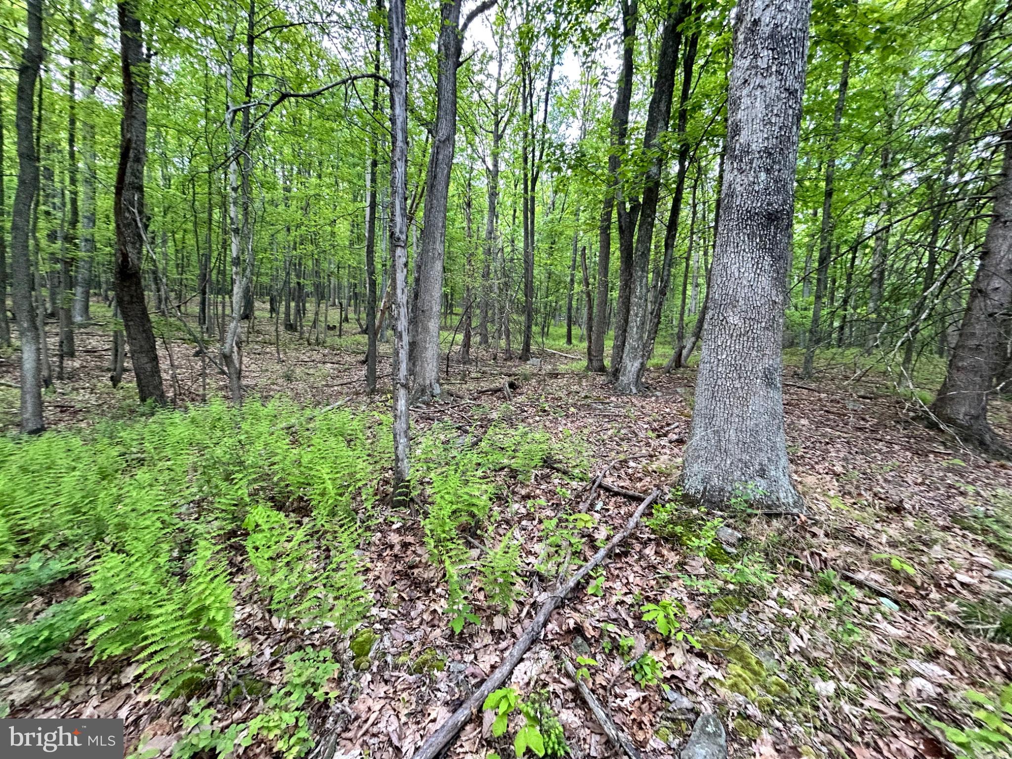 0 GROUSE TRL TRAIL