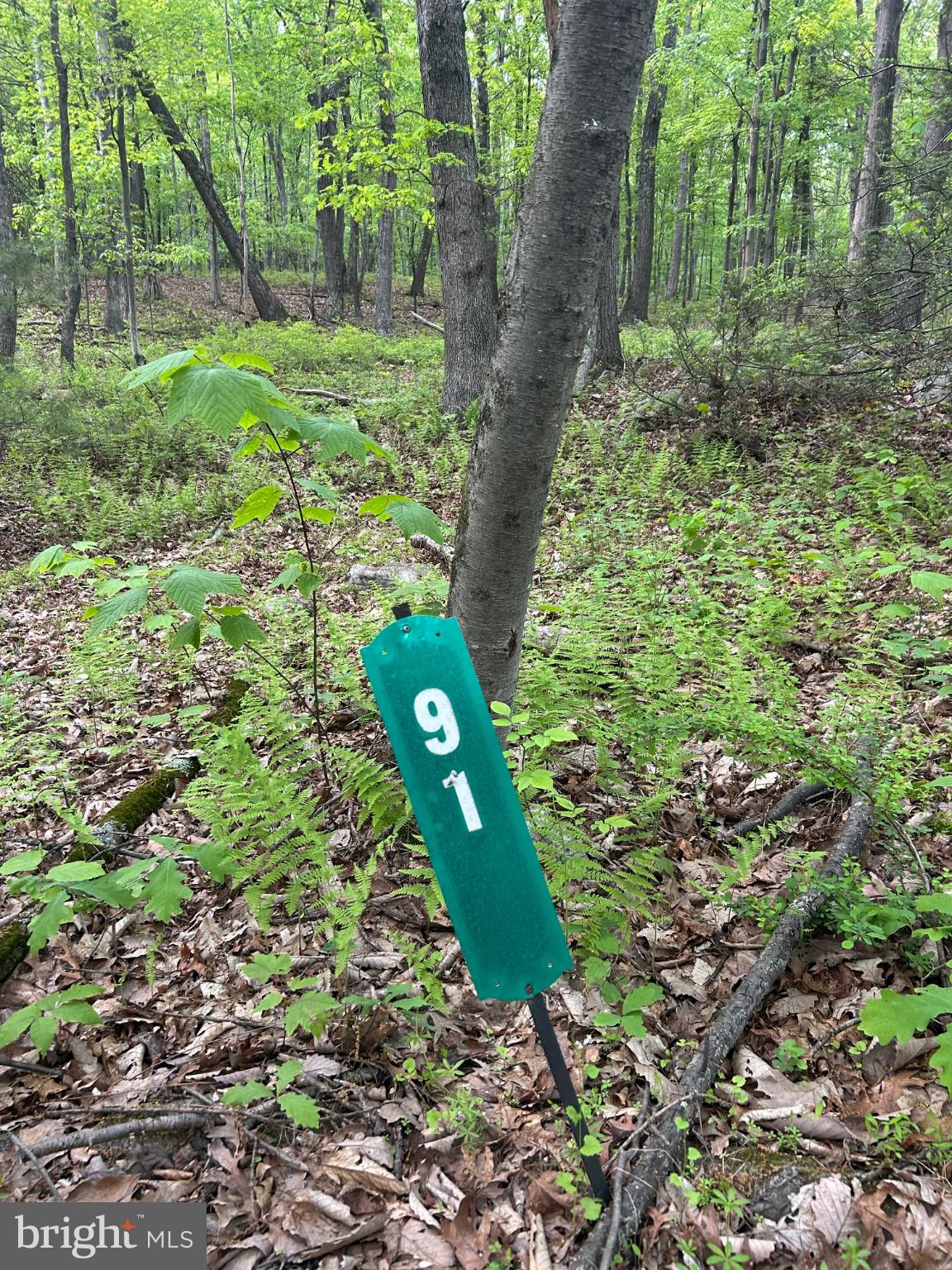 0 GROUSE TRL TRAIL
