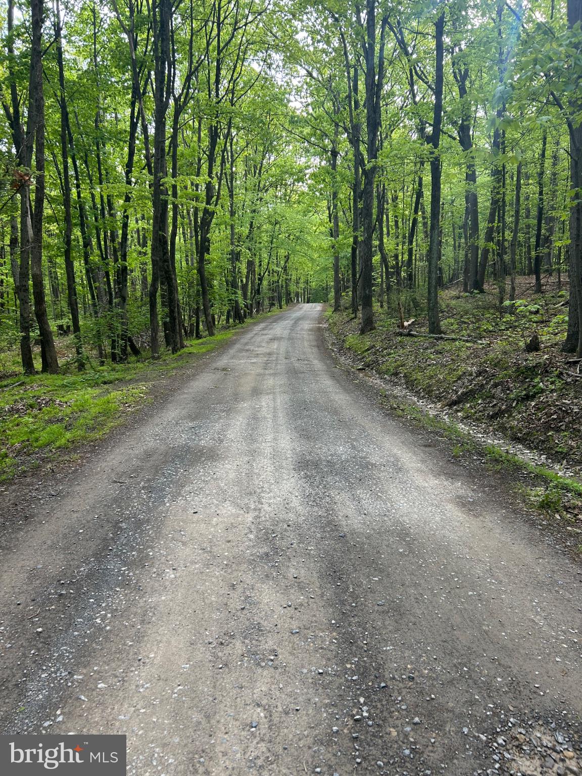 0 GROUSE TRL TRAIL